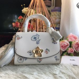 COACH (No.3078)