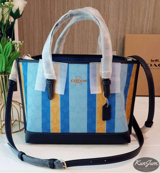 COACH (No.C4086)