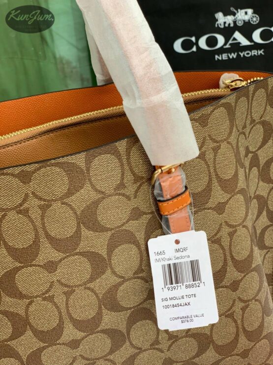 COACH (No.1665) - Image 3