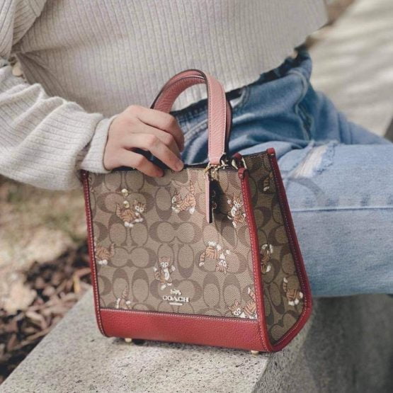 COACH (No.CC424) - Image 7